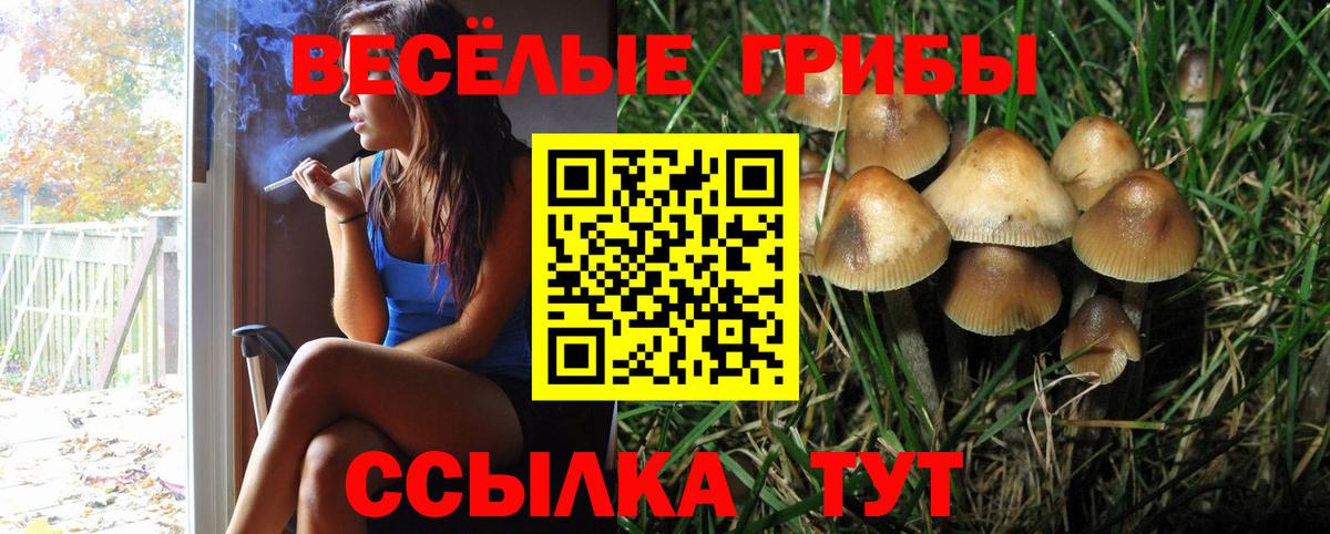 Псилоцибиновые грибы мухоморы  Вход с VPN  Семилуки 