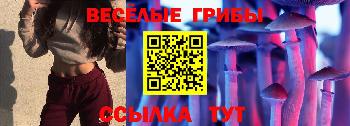 Галлюциногенные грибы GOLDEN TEACHER Семилуки